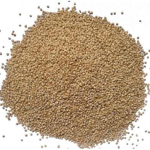 Organic Quinoa 500 gms