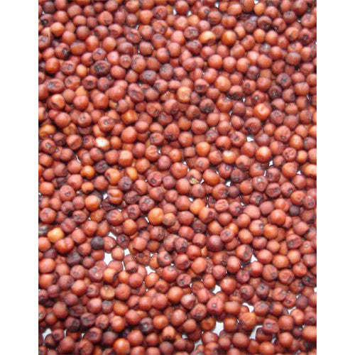 Ragi Millet (Mandua Whole)