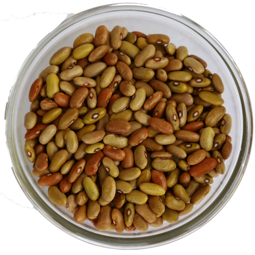Mix Rajma