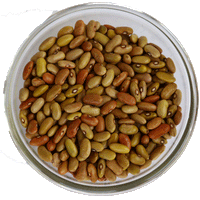 Thumbnail for Mix Rajma