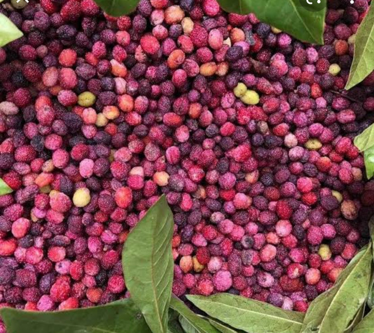 "Kafal" (State fruit of Uttarakhand) Himalaya2Home