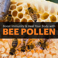 Thumbnail for Bee Pollen - Super Food (100 gms)
