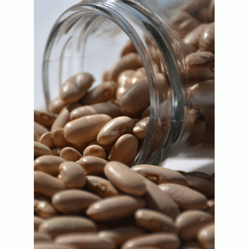 Harshil Rajma (Kidney Beans) 500gms